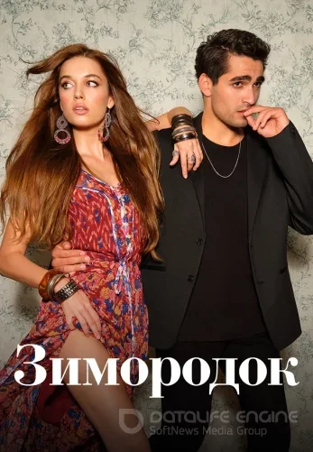 Зимородок 3 сезон турецкий сериал 1-100, 101 серия на русском языке все серии смотреть онлайн